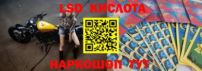 a pvp Новокубанск