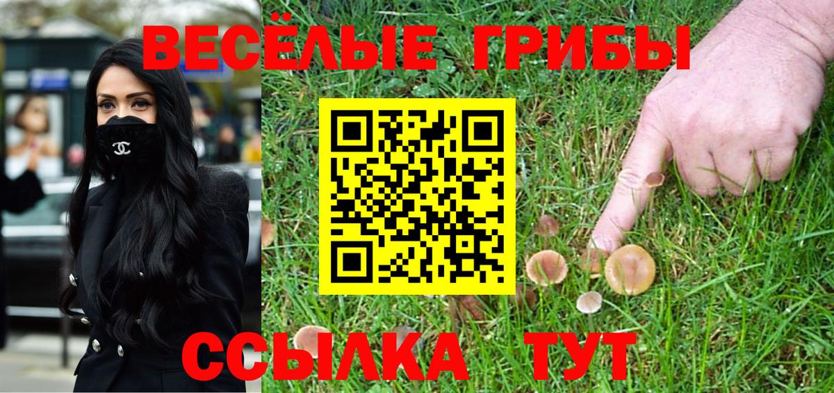 Артём  Псилоцибиновые грибы Psilocybine cubensis  Галлюциногенные грибы Cubensis  Вход с VPN 