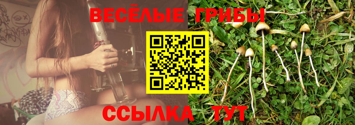 Псилоцибиновые грибы Cubensis Артём